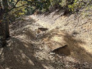 prescott (6).jpg
